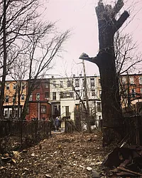 Rented by Lang Realty LLC