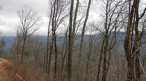 5th image of Bald Eagle Dr #20