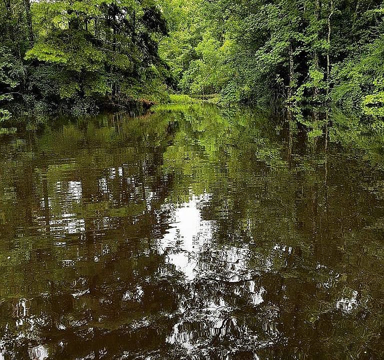 2nd image of 1495 Continental Ponds Pl