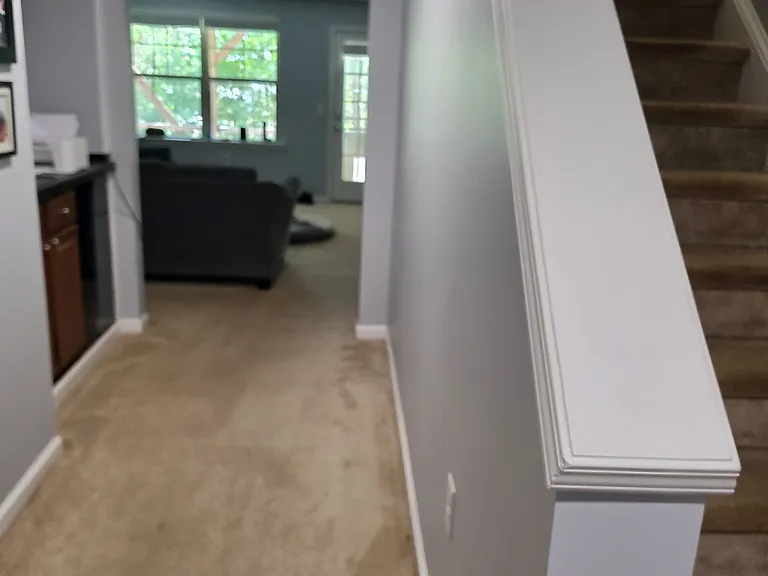 Entrance to Basement
