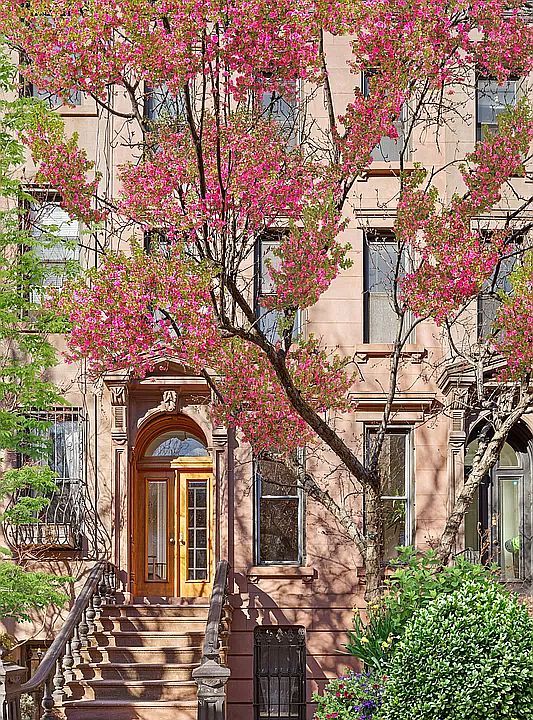 1st image of 205 Sterling Pl #1