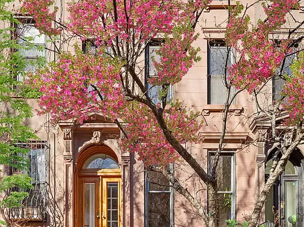 205 Sterling Place image 1 of 7