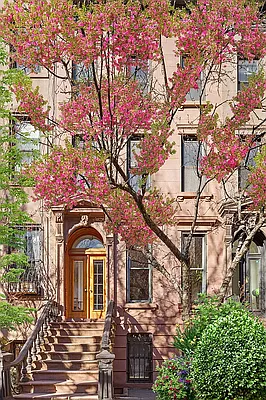 205 Sterling Place #1