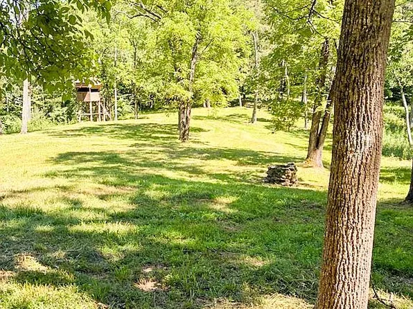 1138 Dotts Holw, Cairo, WV 26337