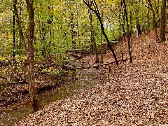 2nd image of 7368 Overbey Rd