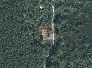 14120 SE 211th Ct, Umatilla, FL 32784