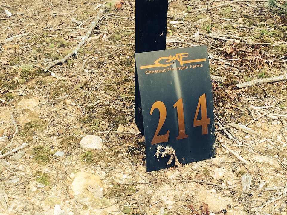 2nd image of Lot 214 At Chestnut Mountain Farms
