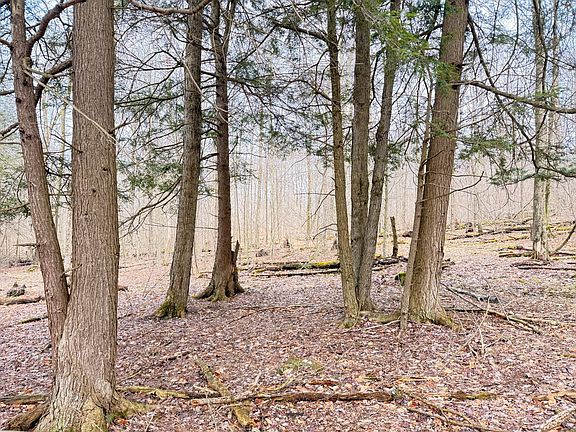 3rd image of Morrison Hill Rd