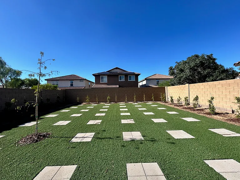 New Backyard landscaping for privacy