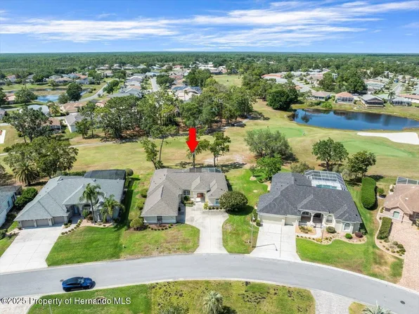9216 Tarleton Cir, Weeki Wachee, FL 34613