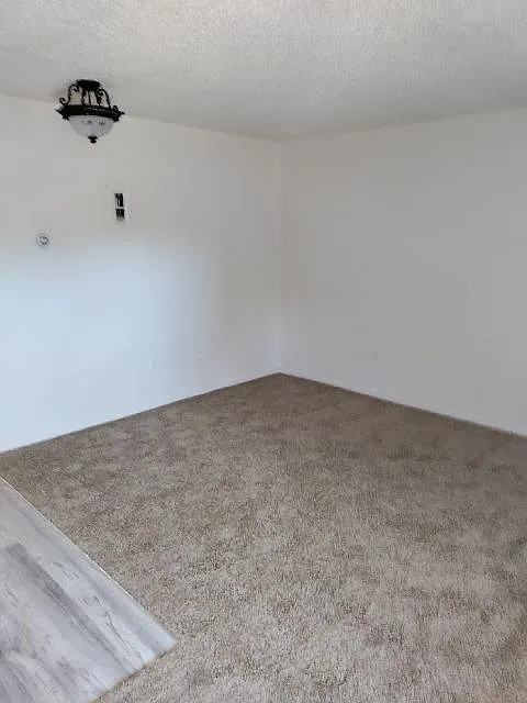 1 bed, 510 sqft, $1,100 — Photo 4