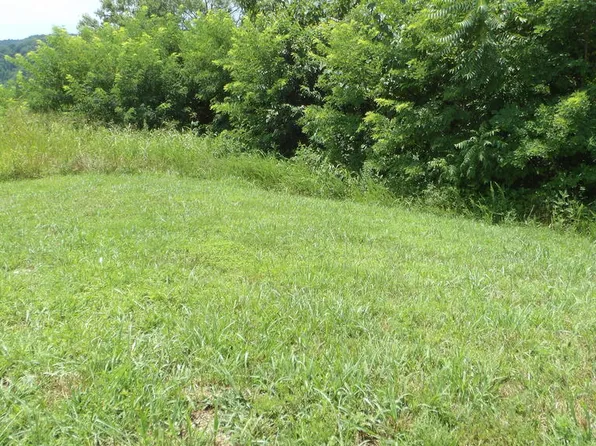 LOT-17D Crappie Ln, Hilham, TN 38568