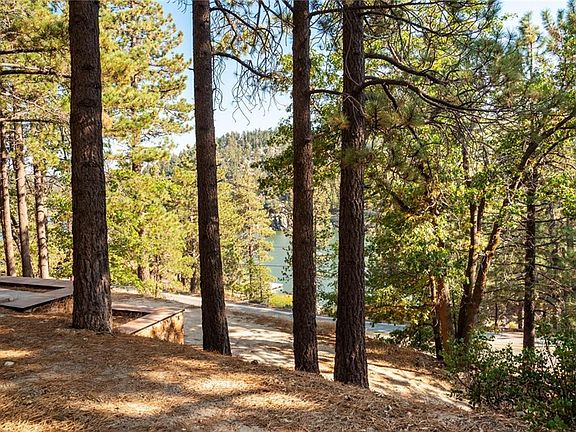 4th image of 260 Nolan Trail Bear Tract Trl