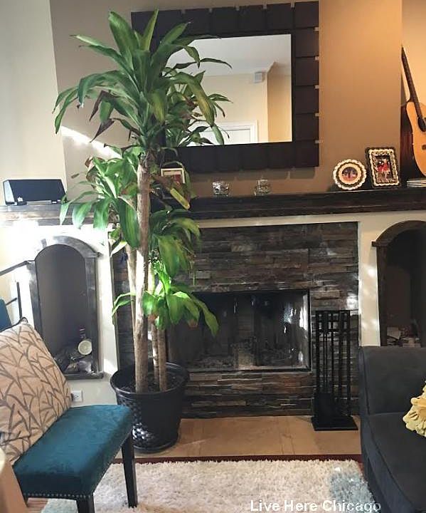 2nd image of 1413 N Artesian Ave #1L