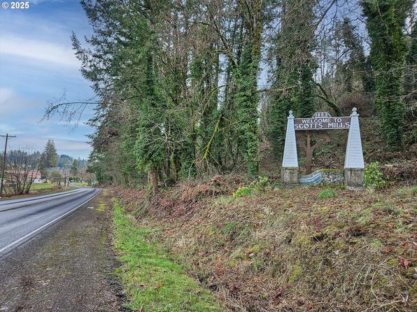 291 Grand View Ave, Scotts Mills, OR 97375