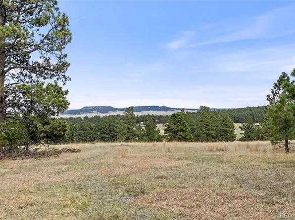 8653 N Teacup Road, Elbert, CO 80106