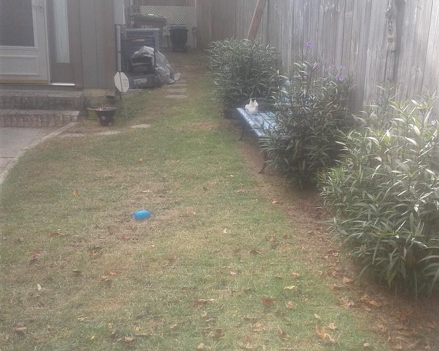 1st image of 3505 Parkwood Ave