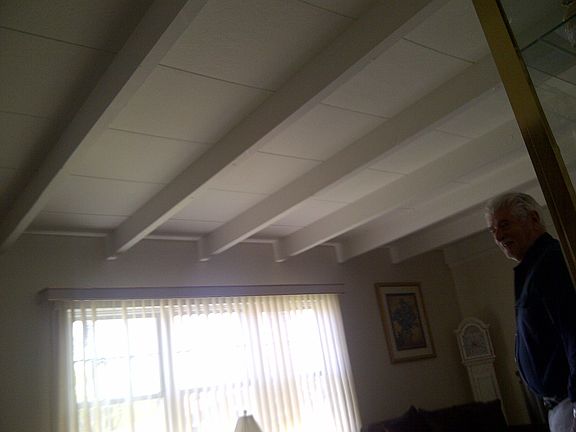 Open Beamed Ceilings