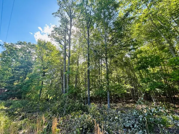 Tbd Pipers Gap Rd, Galax, VA 24333