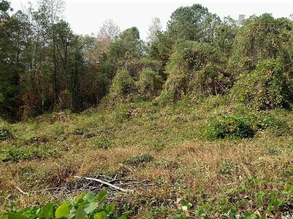 1st image of 189 County Road 314
