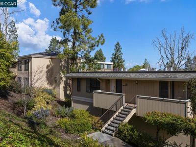 1329 Singingwood Ct APT 1, Walnut Creek, CA, 94595