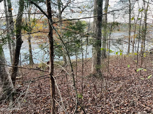 39 Fisher Cv, Decaturville, TN 38329