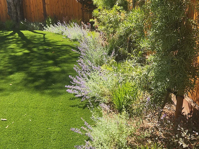 Backyard landscaping