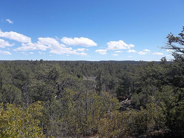 1st image of 7 T Bear Ln