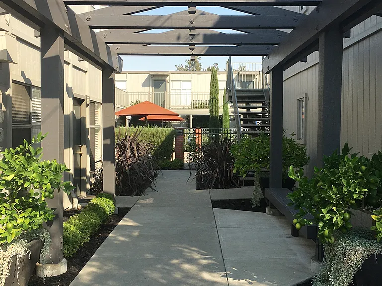 Olive Tree Apartments — Photo 19