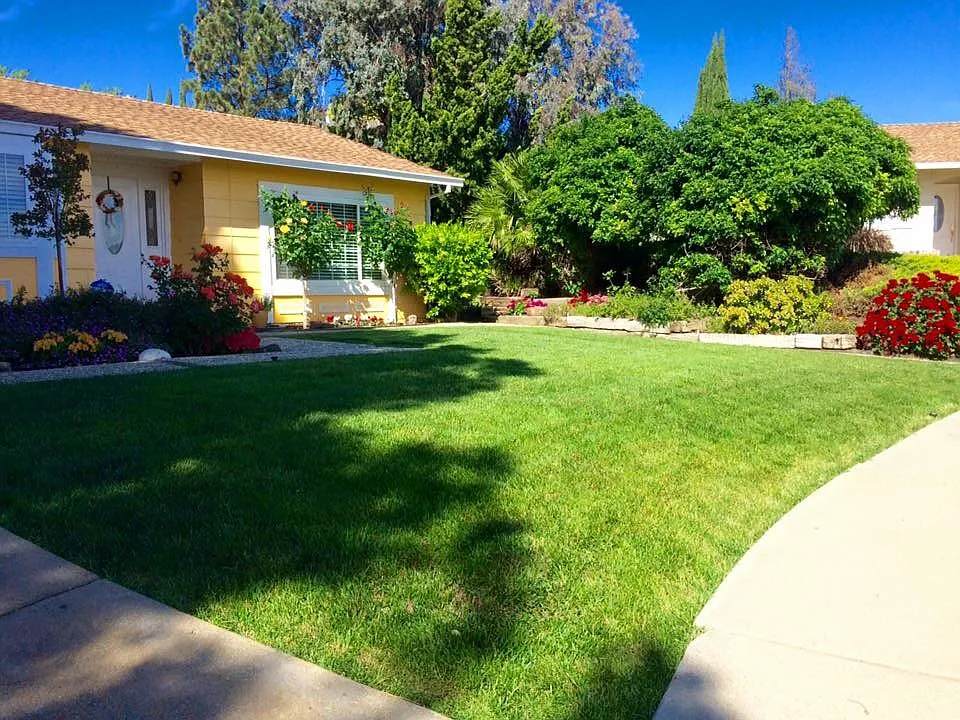 3 Laguna Pl photo 1