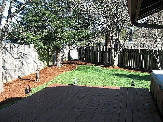 Back yard