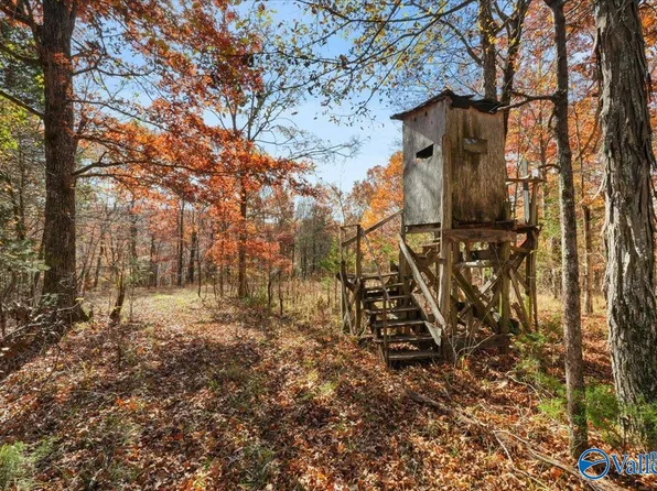 Upper Hurricane Rd, New Market, AL 35761