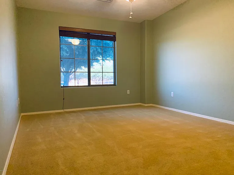 1323 N Golden Palomino Pl — Photo 12