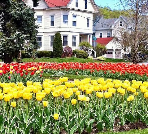 Beautiful city maintained park across the street
