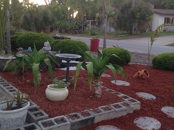 Front yard