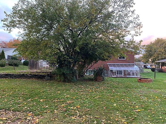 Large backyard