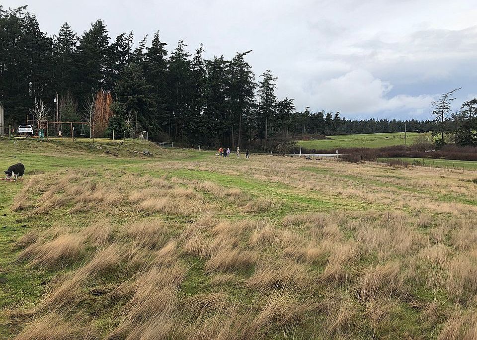 Pasture facing west