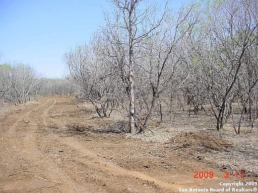 2nd image of 35 ACRES Witten Road