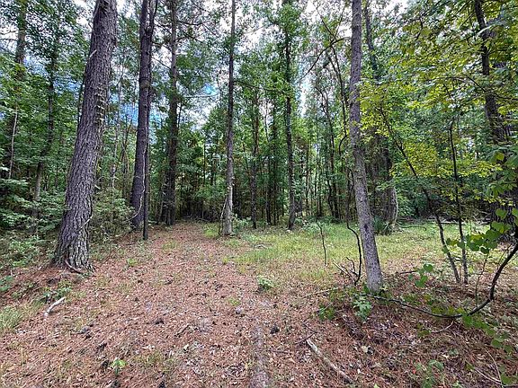 2nd image of 17.8 Acres-5871 Pennyroyal Rd.