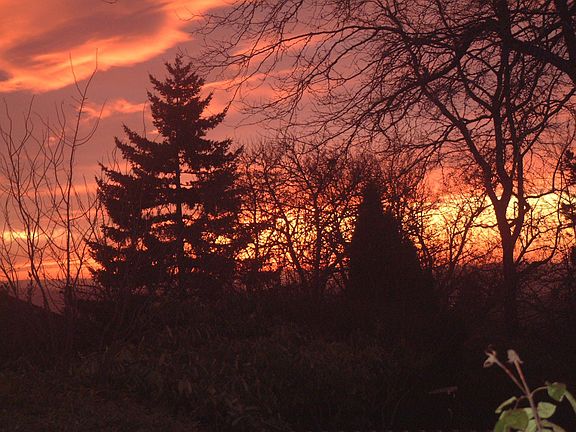 Winter Sunset - Back Yard