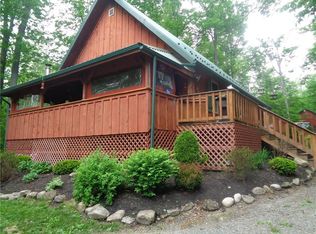 1436 Sand Rd, Rexville, NY 14877