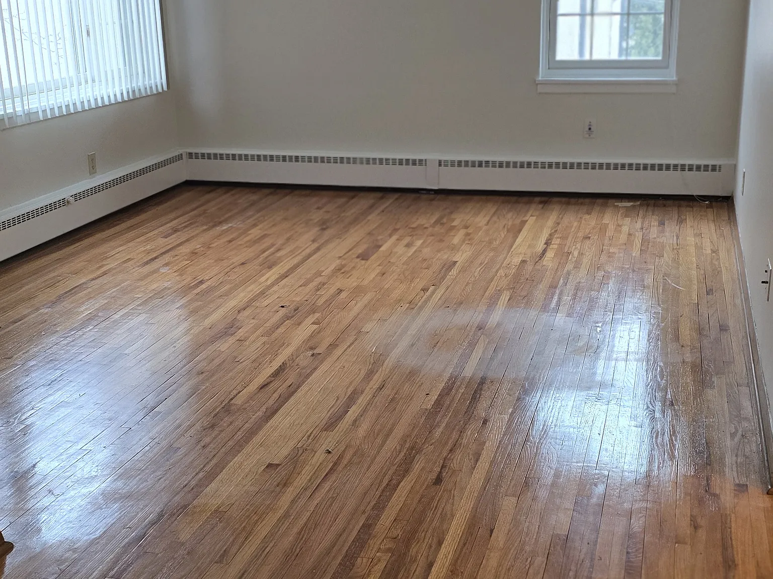 1 bed, 650 sqft, $1,100 — Photo 2