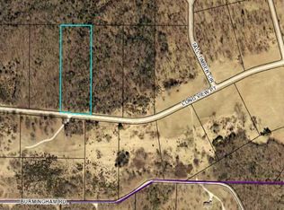 335 Long View Point, Forsyth, MO 65653