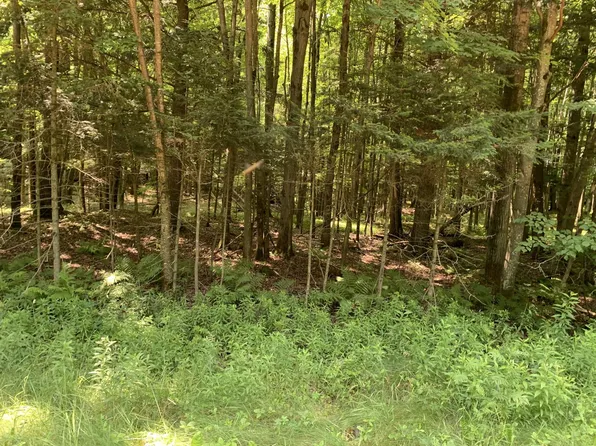 Fairview Rd, Edgar, WI 54426