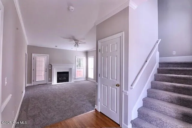 4 bed, 2.5 bath, $2,100 — Photo 3