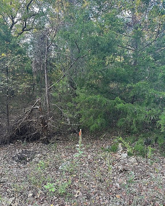 2nd image of Moccasin Dr
