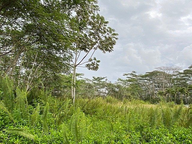 1st image of 18th Avenue Maia Lot 400