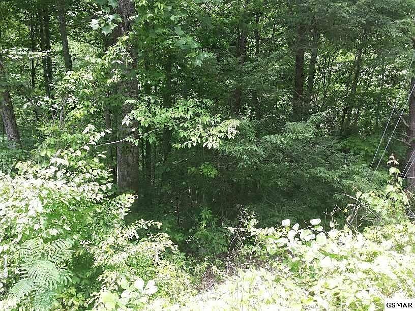 1st image of 4 Buena Vista Dr