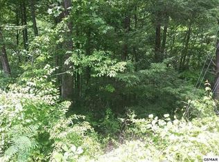 4 Buena Vista Dr, Sevierville, TN 37876