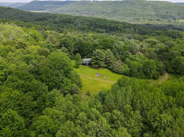 Wightman Rd Lot Wp001, Wellsville, NY 14895